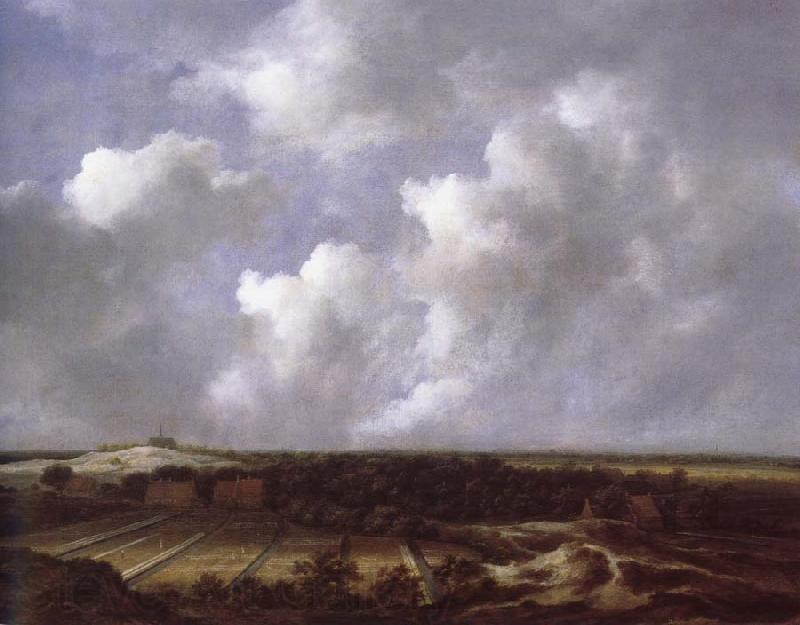 Jacob van Ruisdael View of the Dunes near Bl oemendaal with Bleaching Fields Norge oil painting art